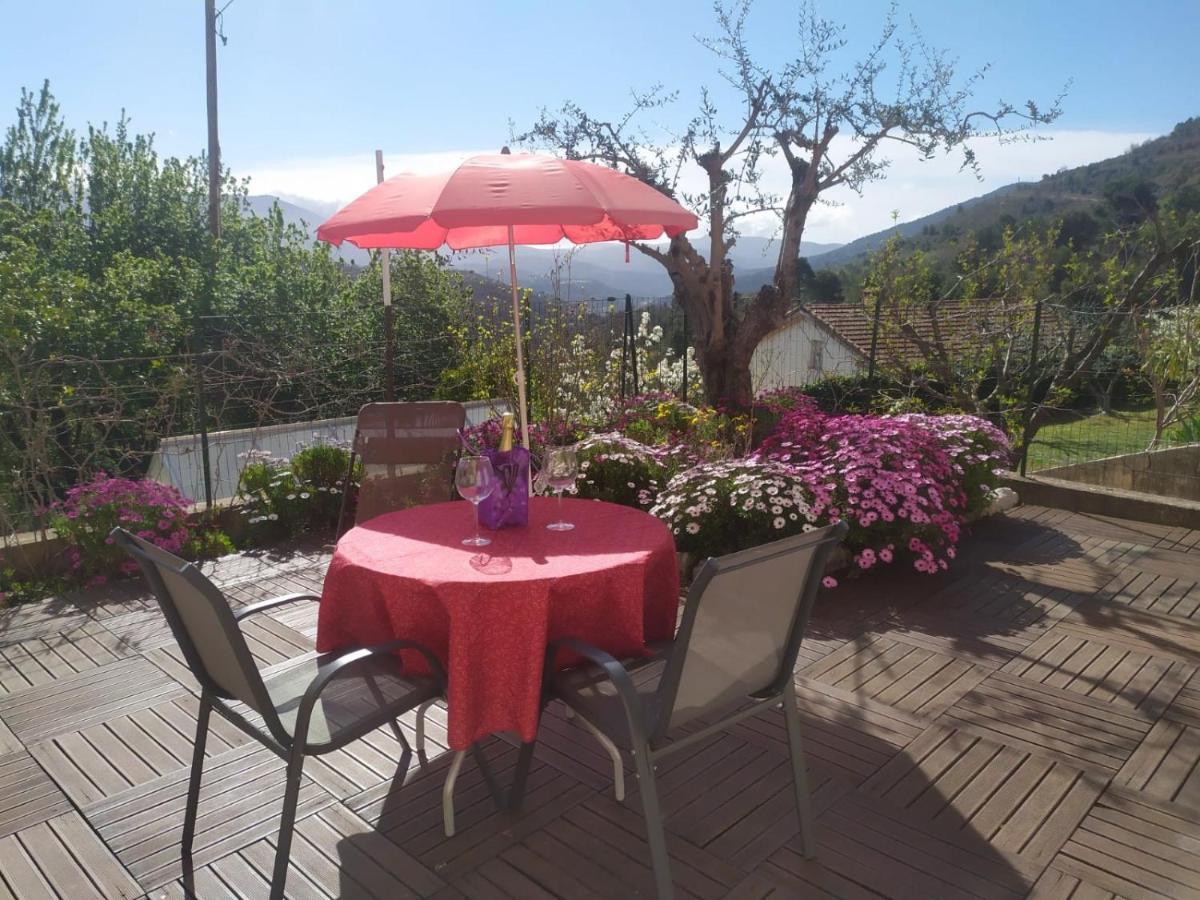 Studio Le Romantique A 20 Kms De Nice Bendéjun Buitenkant foto